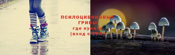 экстази Михайлов