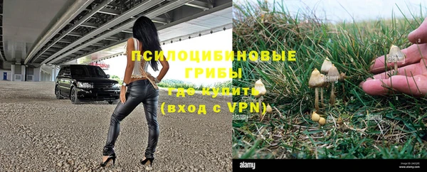 a pvp Кукмор